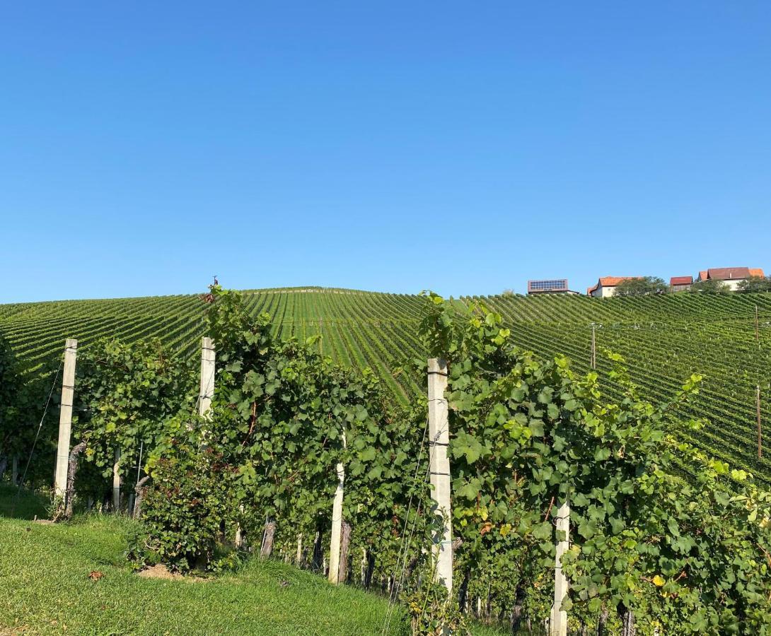 Wein Kultur Apartment Flavia Solva 瓦格纳 外观 照片