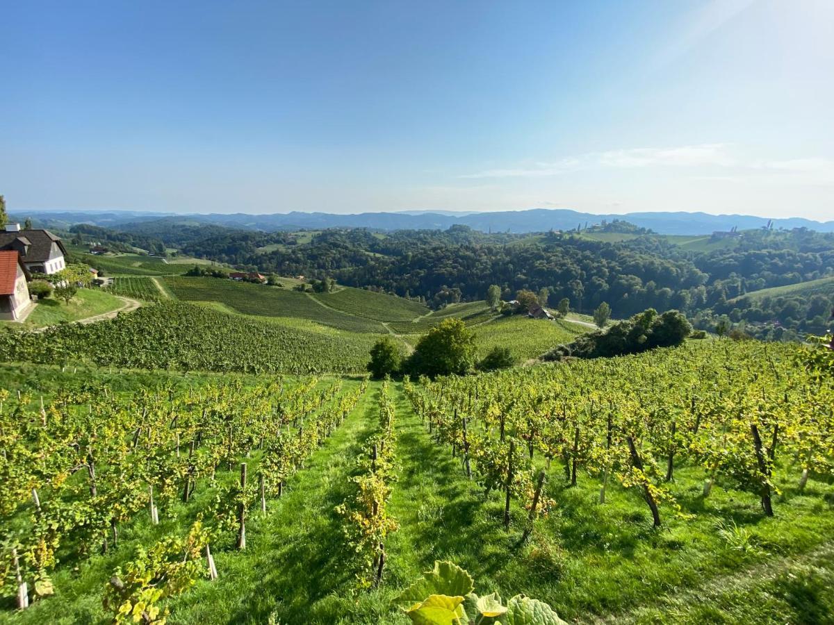 Wein Kultur Apartment Flavia Solva 瓦格纳 外观 照片